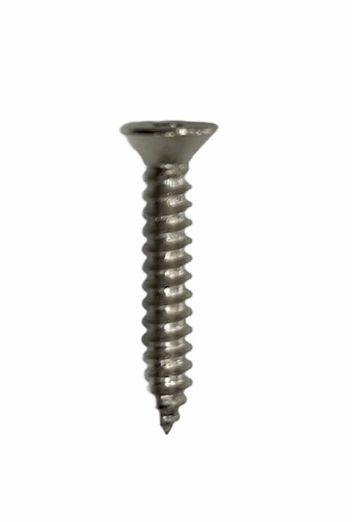 HW-S-BWS-1.5X10-DUBAI BRASS WOOD SCREW