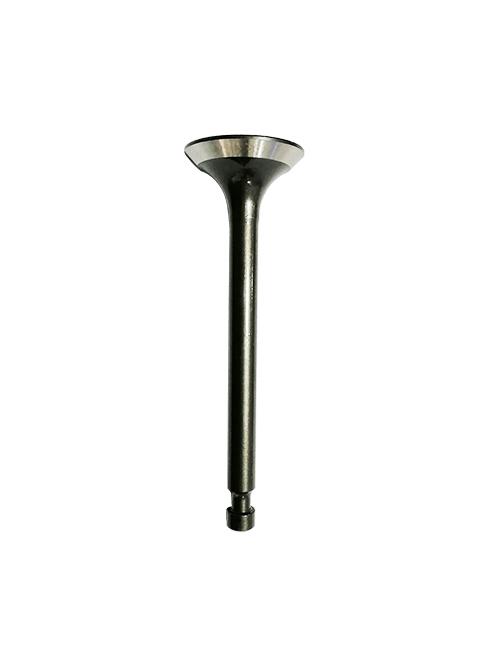 GWP402-SP-1-60 VALVE EXHAUST