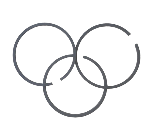 AC301006-SP-20 COMPRESSOR PISTON RINGS 100LTRS