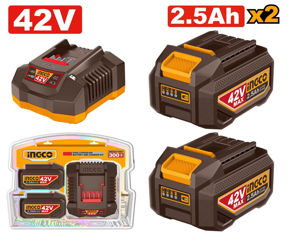 FBCPM25221 LITHIUM-ION BATTERY AND CHARGER KIT