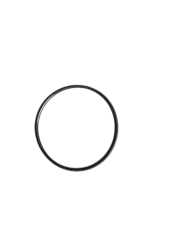 VPM7501-SP-4/9 O-RING
